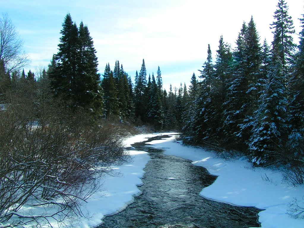 Lyon Brook, Bigelow rd, Bloomingdale, NY, jan 11, 2005a
