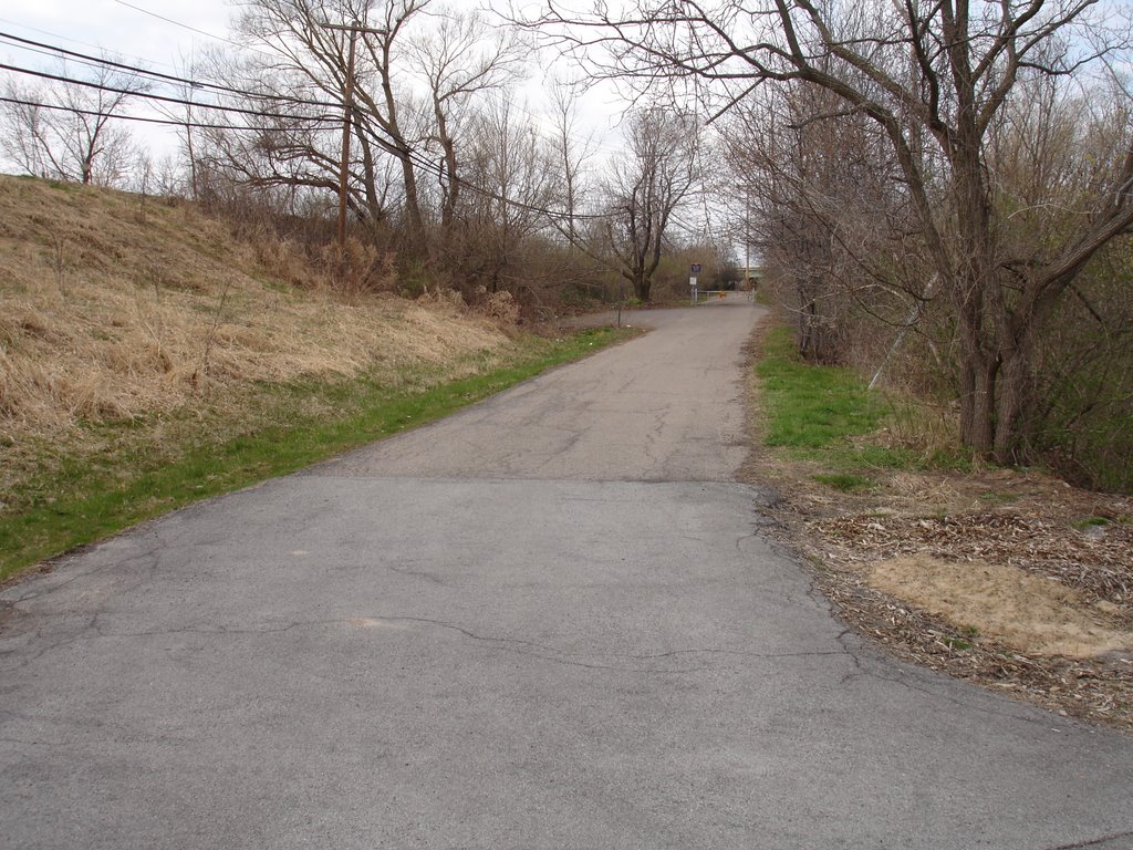 Road To Erie Canal