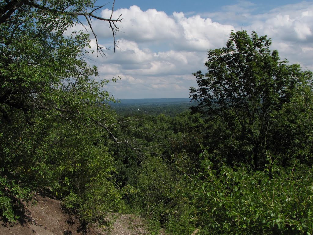 Looking S West