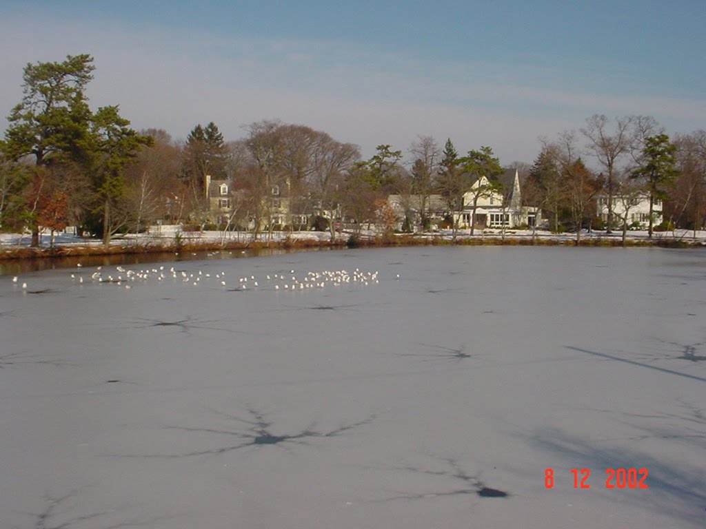 emi-lago congelado