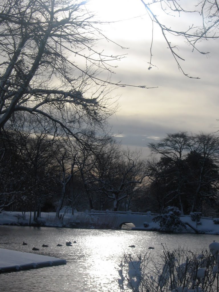 Nosreka Lake, Lakeview Ave. West in Winter