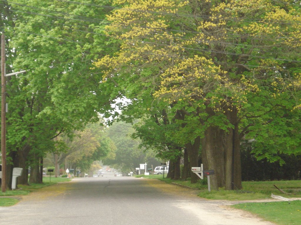 vanderbilt Ave