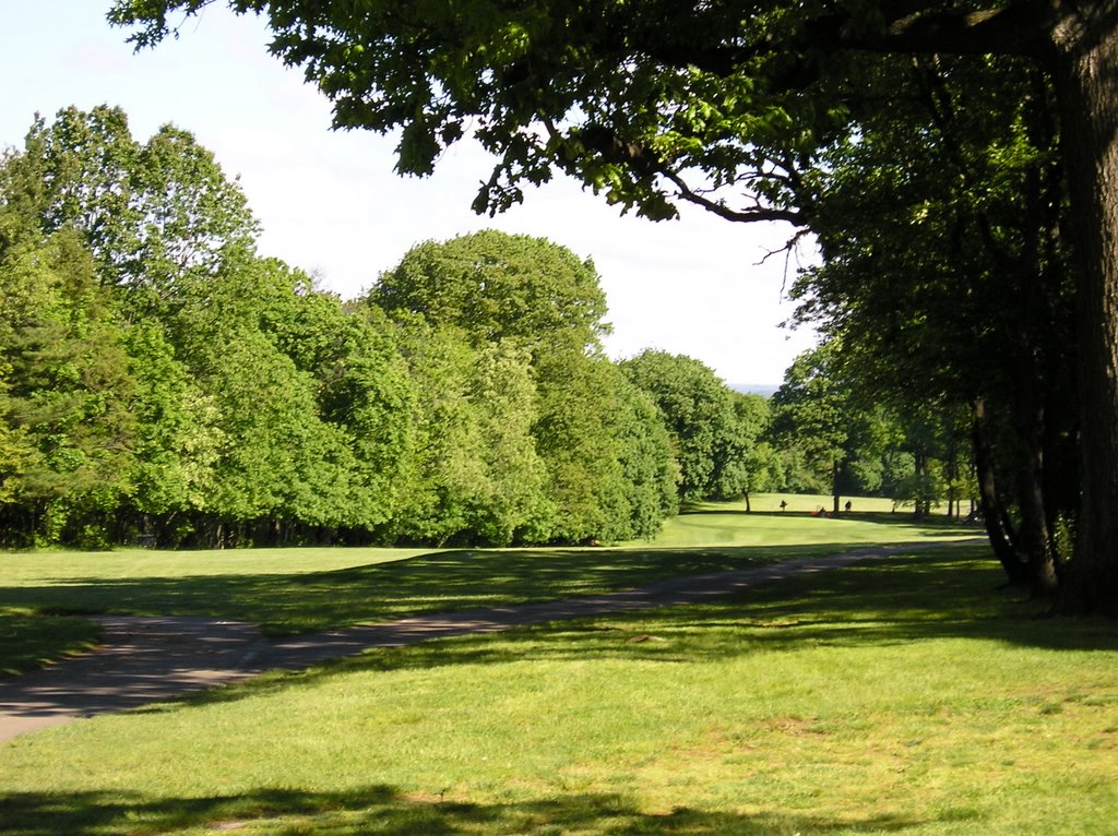 Clearview Golf Club 8th Hole- Bayside, NY - H&M