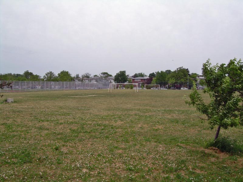 Bayside Field