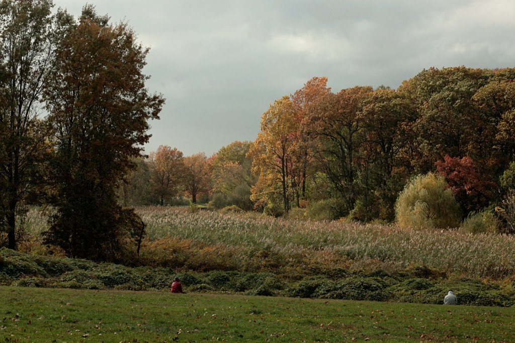 Meditation  -  Kissena Park