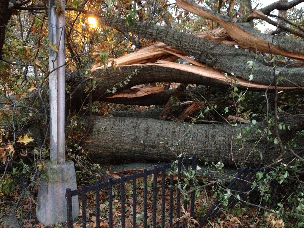 Sandy was destructive!