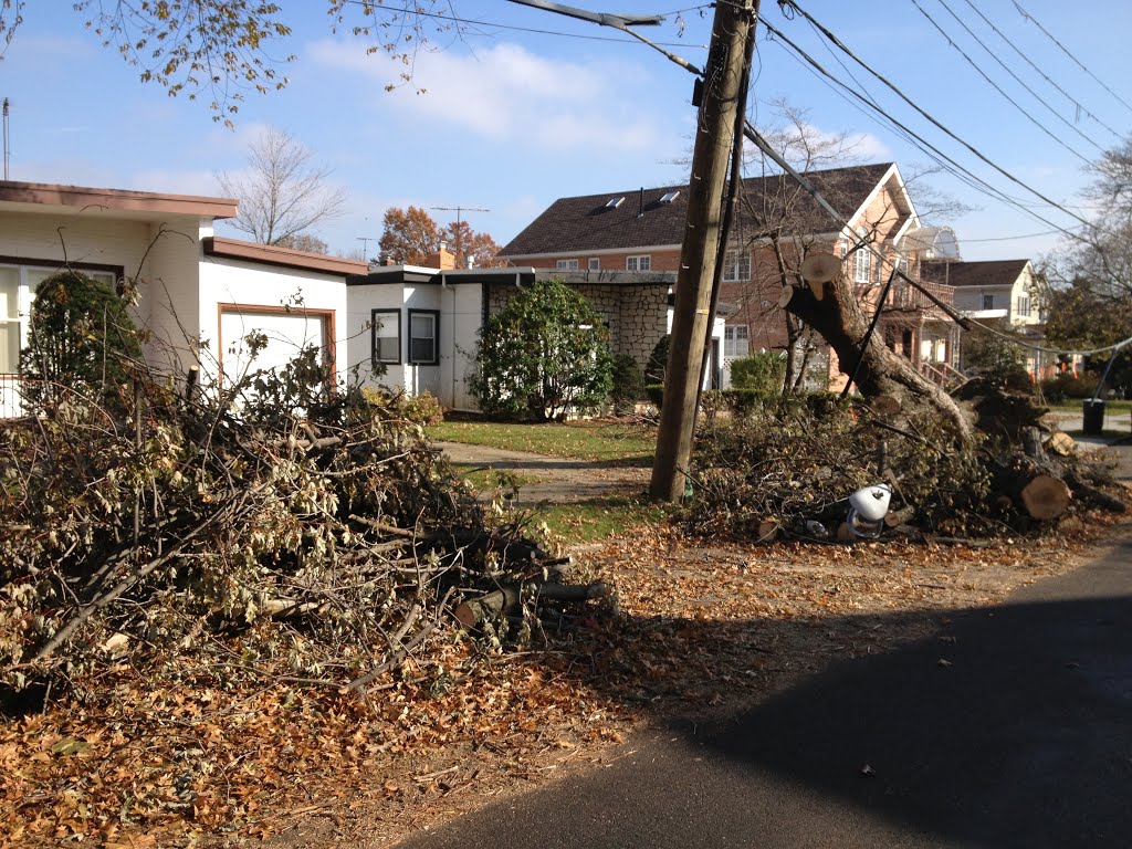 Distoyed lamp and trees in Flushing during Sandys attack