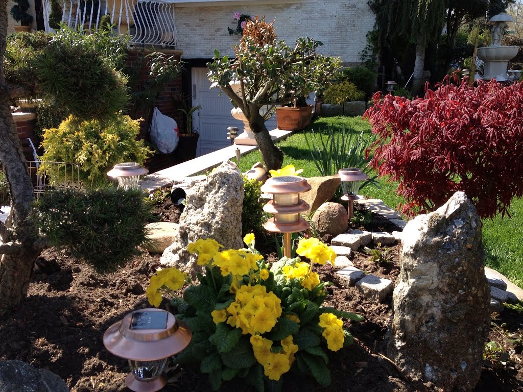 Flowers around the corner