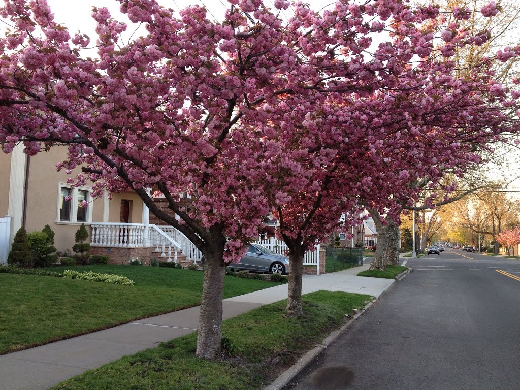 Flowers around the corner