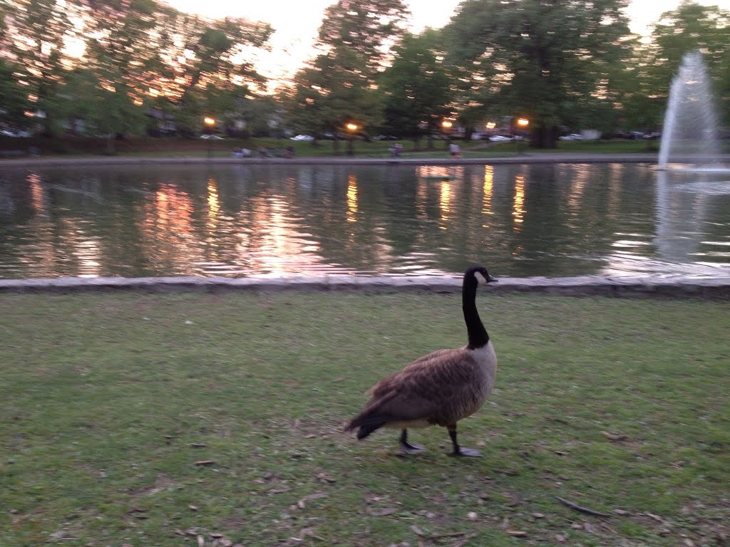 Bowne Park, Flushing, New York