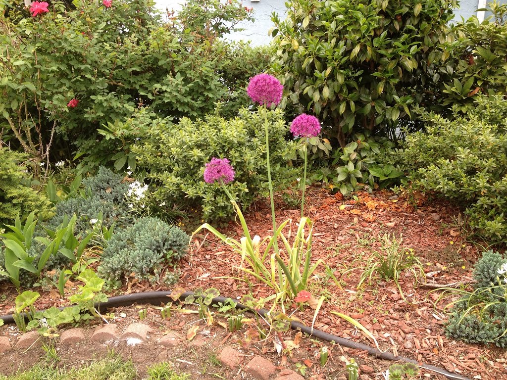 Flowers around the corner
