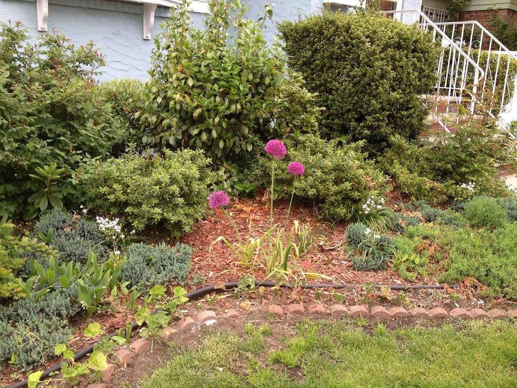 Flowers around the corner