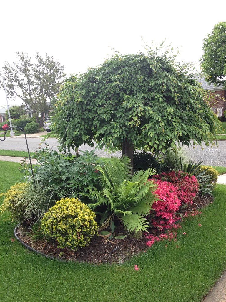 Flowers around the corner