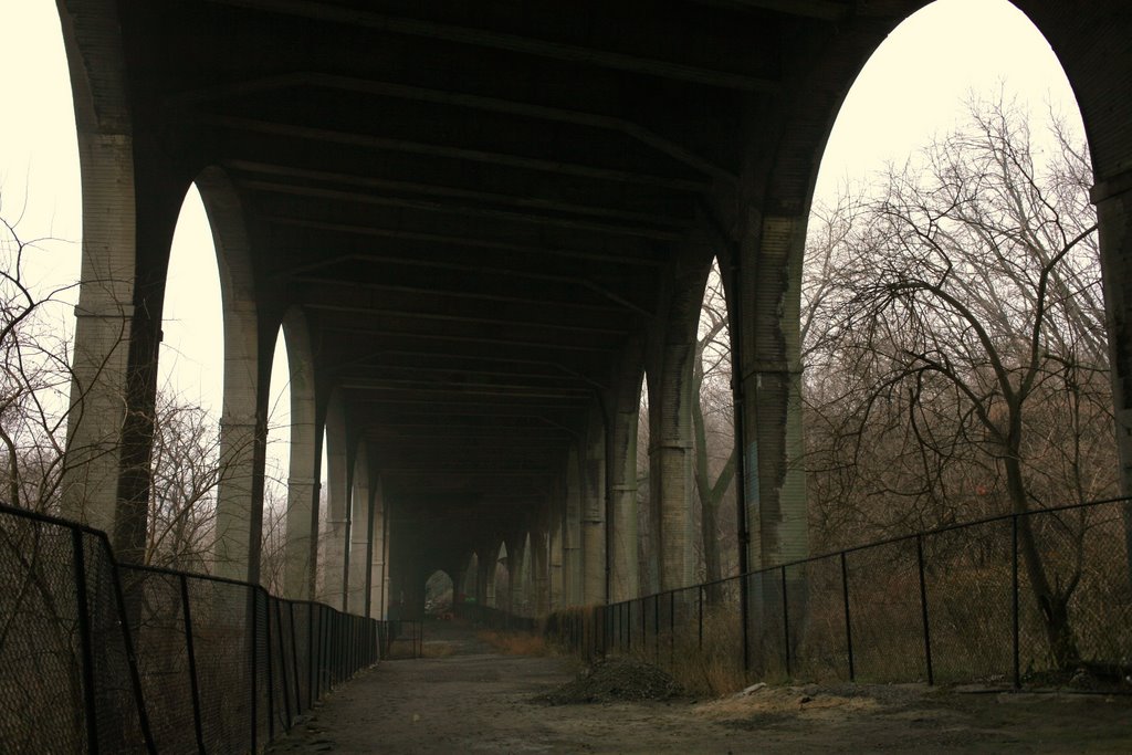 Under the Harlem River Drive (FDR)