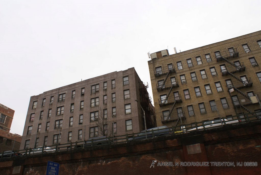 BRONX NY