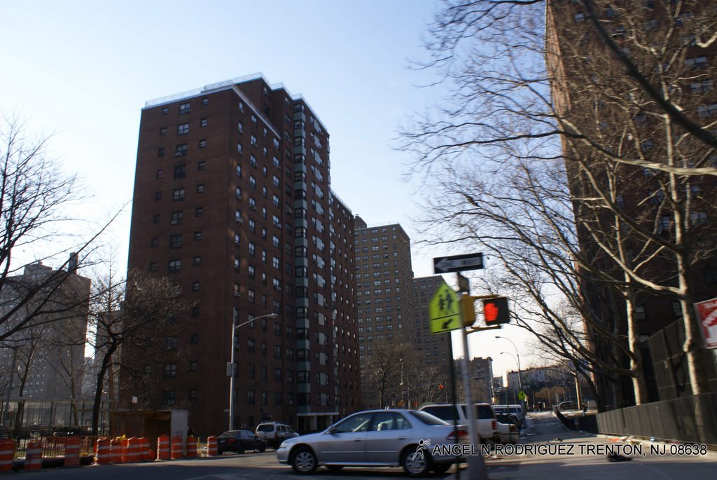BRONX