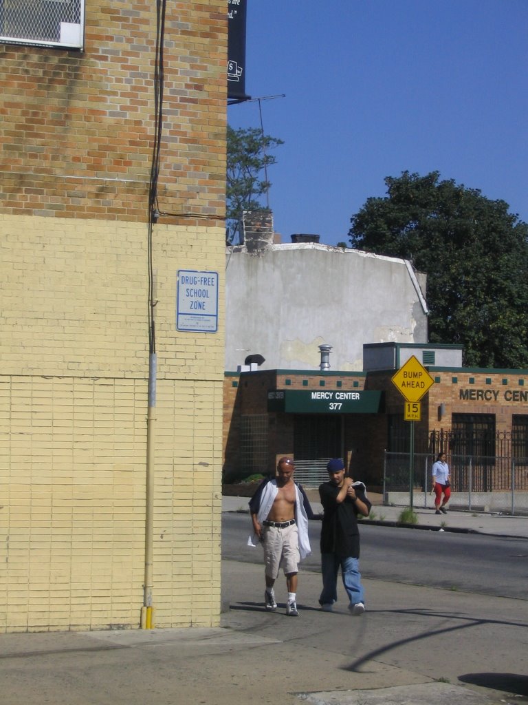 Bronx-eko karrika