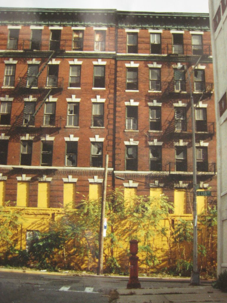 Jungle street. November 1992.