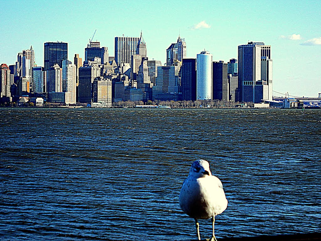 Architecture and Construction..."Waiting for Thomas," by M. M., welcome to New York in the company of seagull!.   PANORAMIO FOREVER