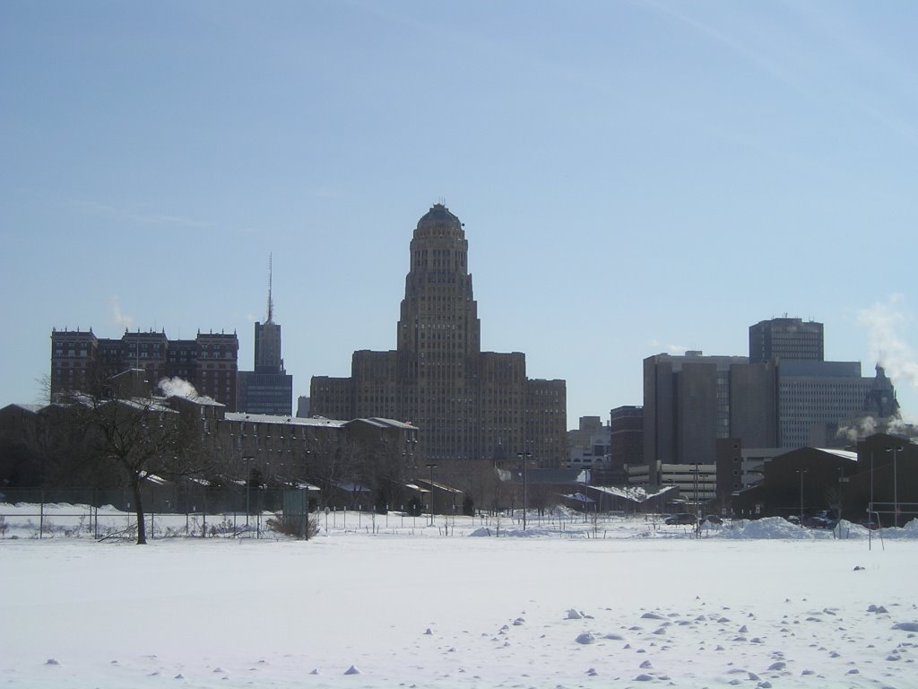 Buffalo skyline