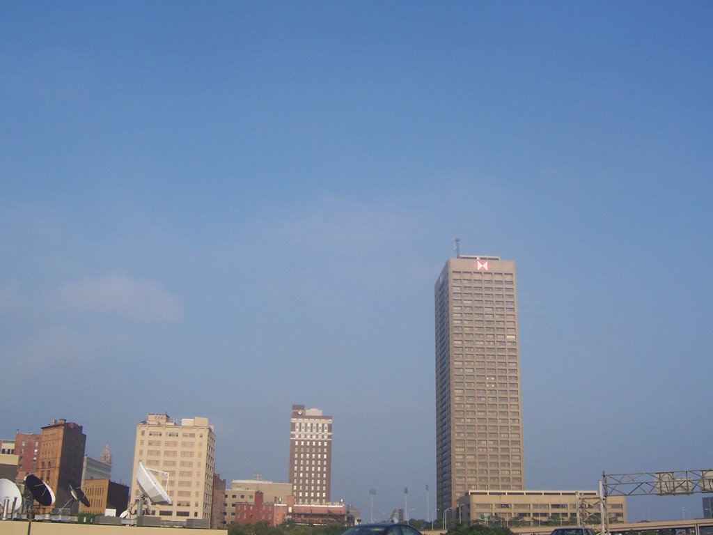 Buffalo