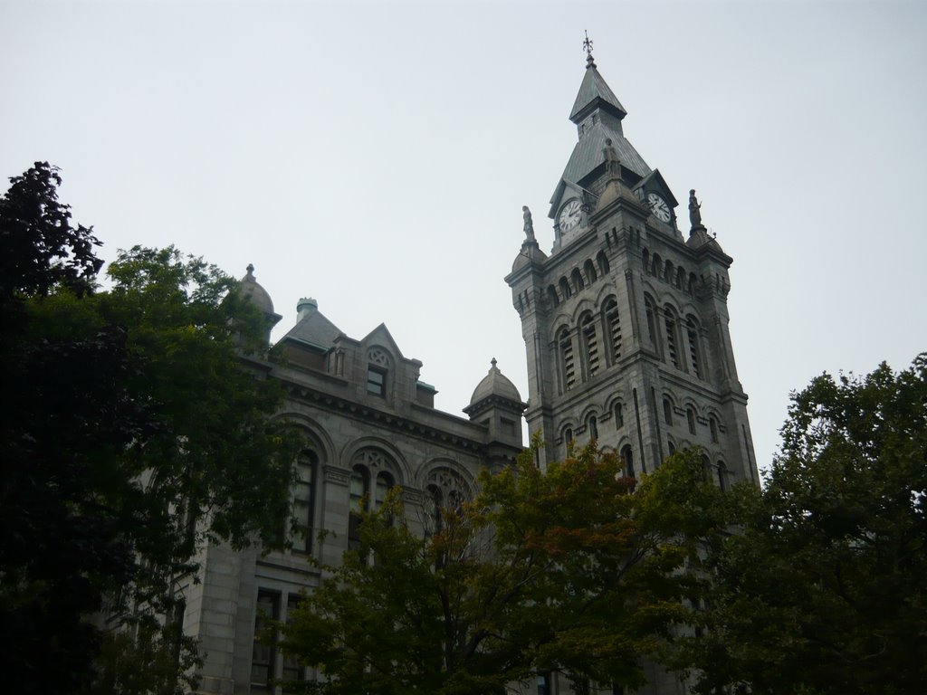 Buffalo, NY