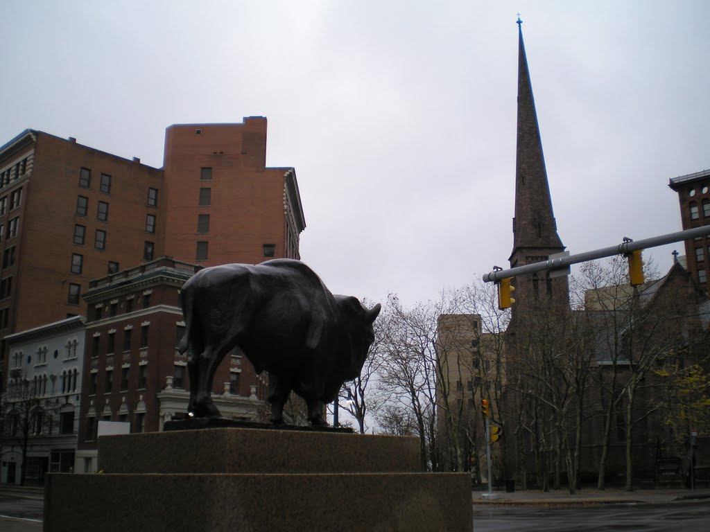 Buffulo, NY, USA