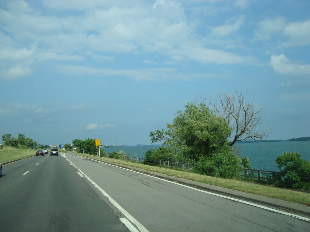 Buffalo