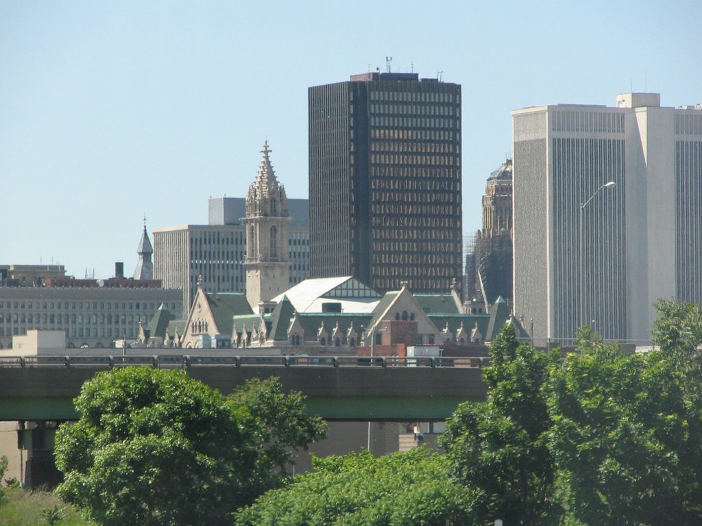 Buffalo