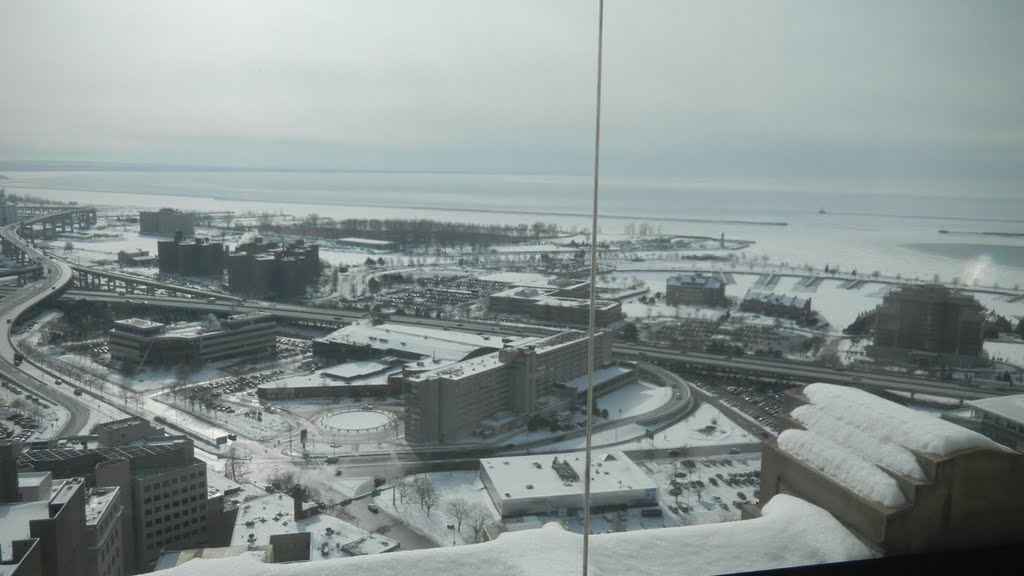 View of Lake Erie from the observation deck of City Hall in Buffalo, NY, to -15 degrees Celsius