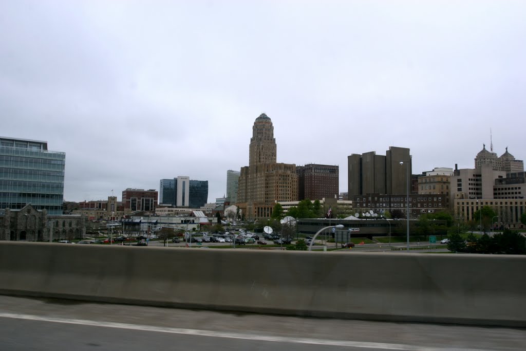 Buffalo.