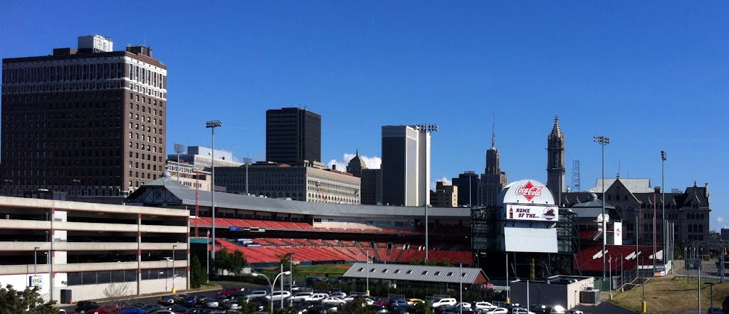 Home of the Bisons