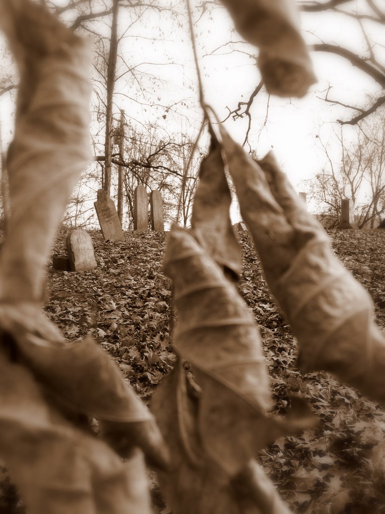Apalachin