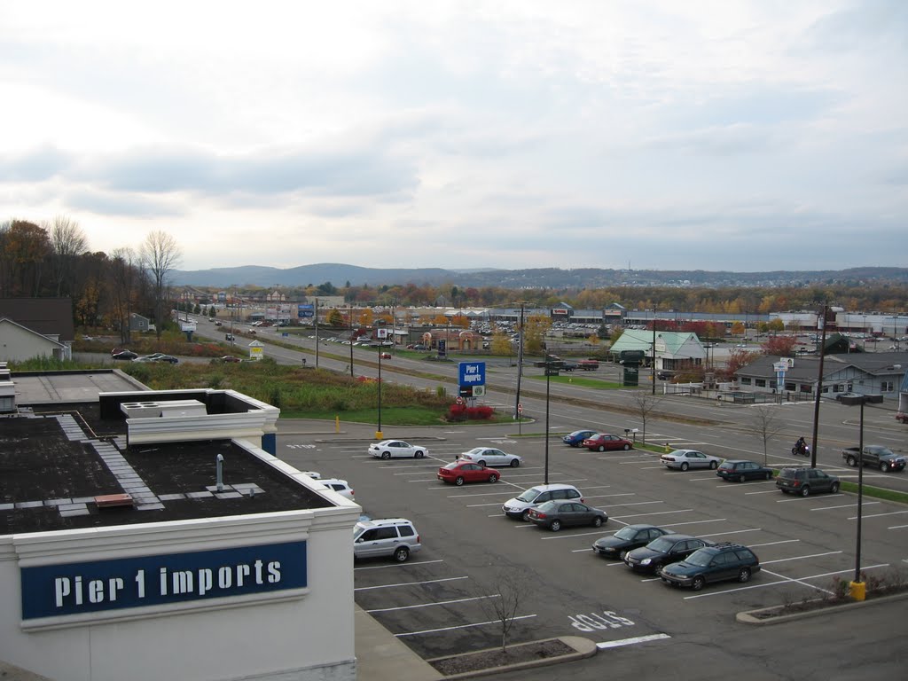 Vestal Parkway