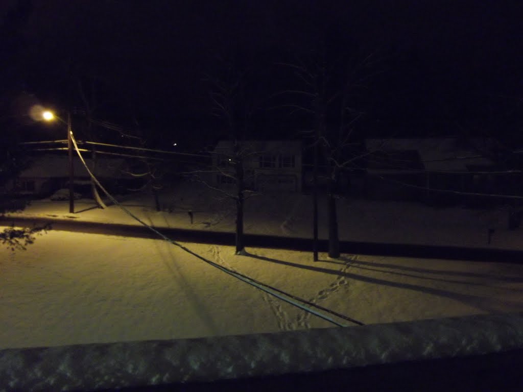 Burris Road, Vestal, NY, January 2011