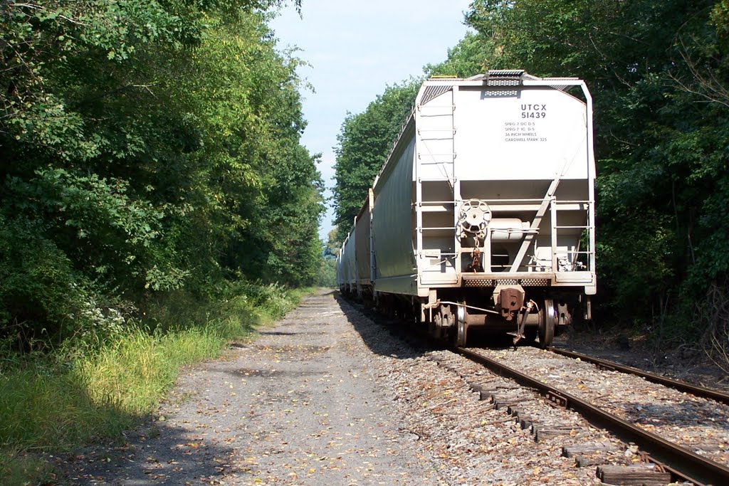 End of DL&W Trackage Vestal " spur" 9/2011