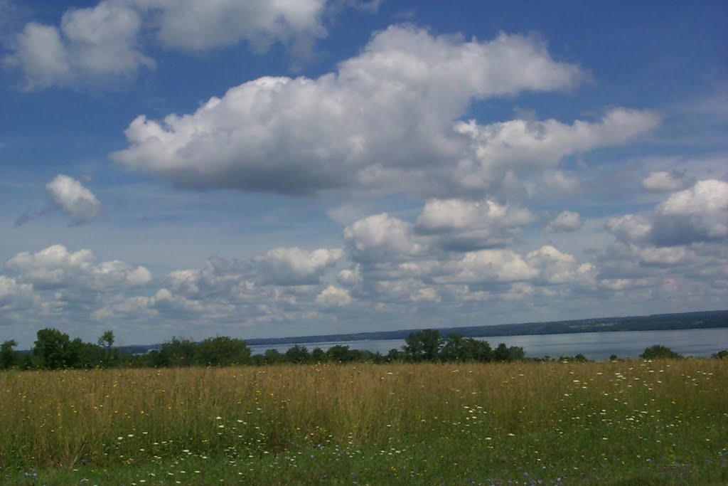 West side of Cayuga