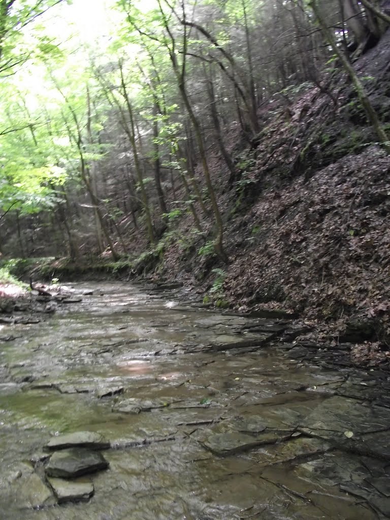 Fractures in the Shale
