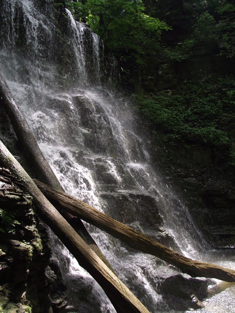 Waterfall over Geneseo Shale