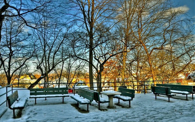 Parque nevado