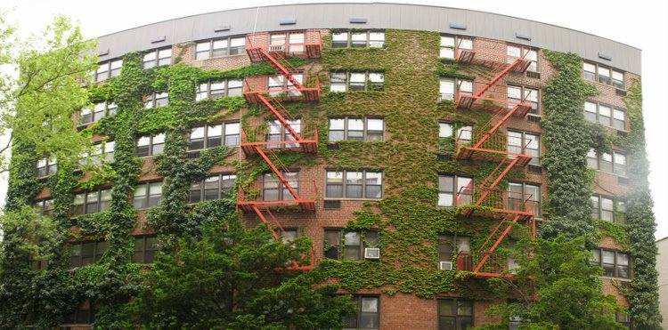 54th Street, Woodside, Queens