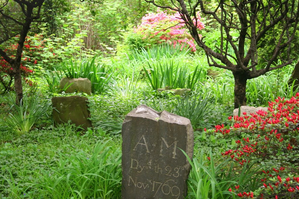 Moore Jackson Cemetery