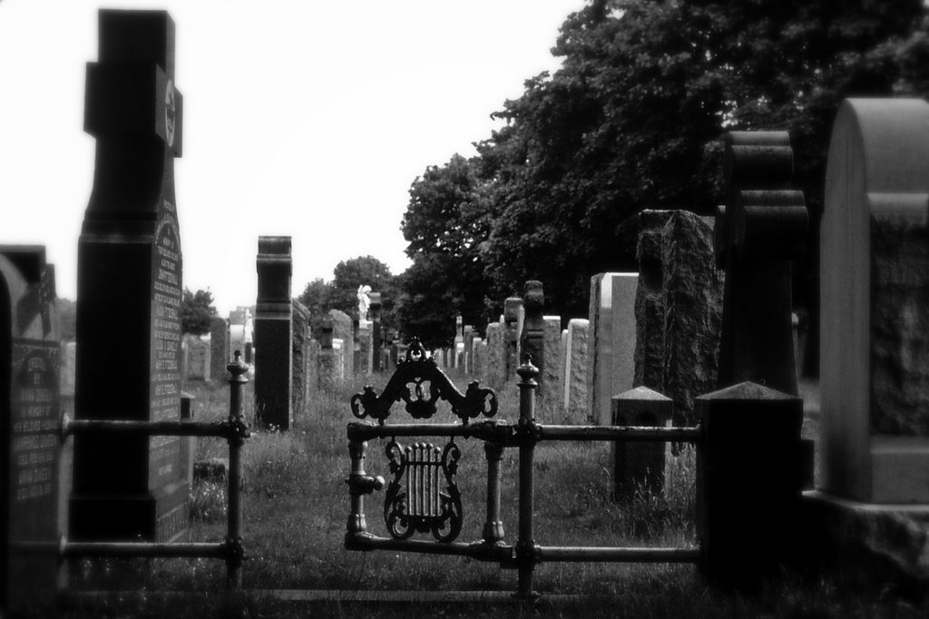 Cementerio