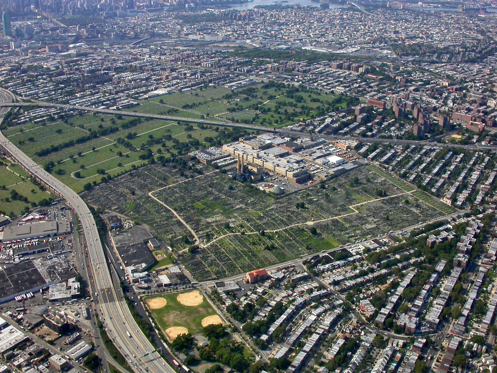 Calvary & Mount Zion Cemeteries of Queens, NY