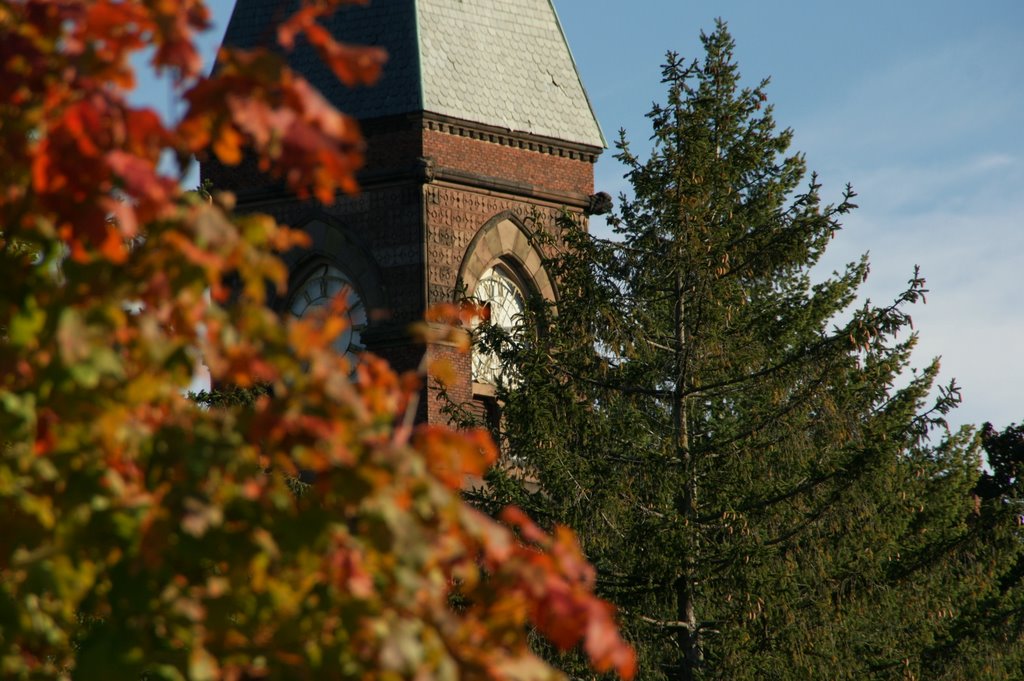 St. Pauls School, Garden City