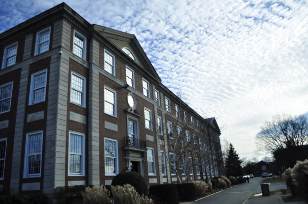 Adelphi university