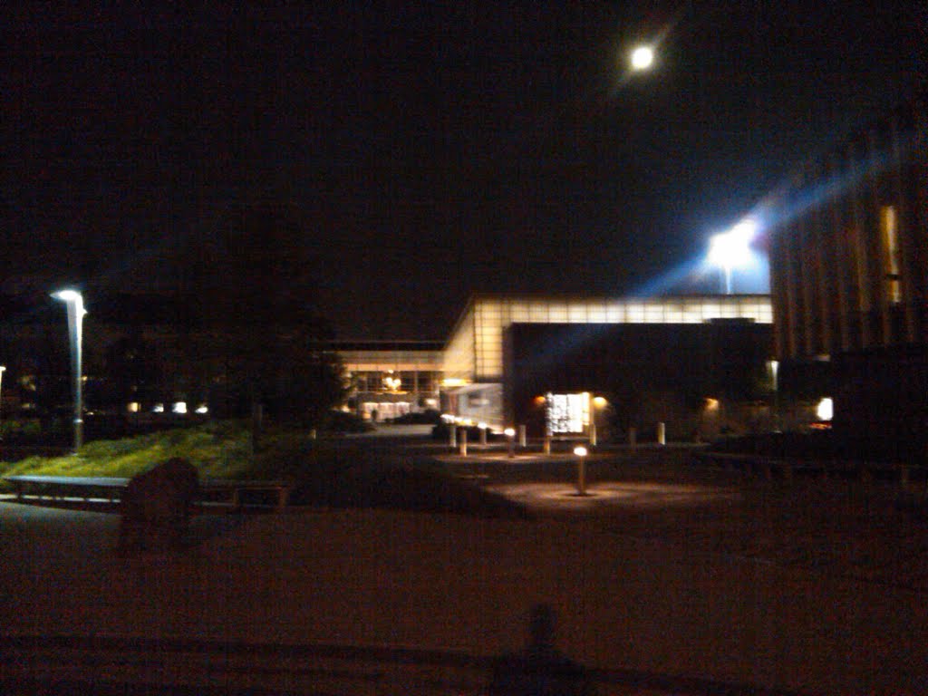 Adelphi University at night, new building.
