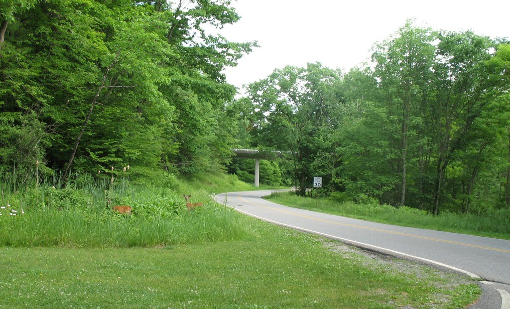 At Phillips Road