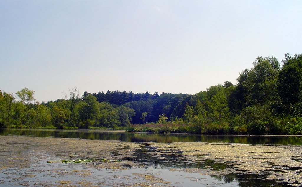 Fish Creek Bend