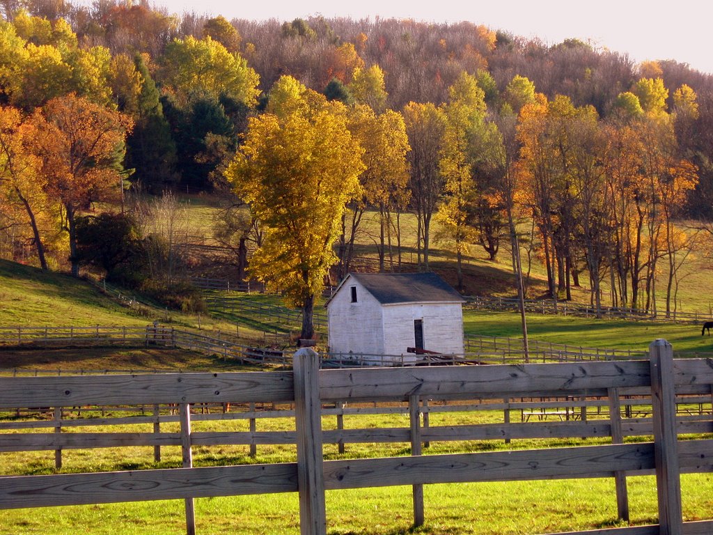 Near the polo fields